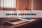 巴西世界杯性（巴西世界杯精彩瞬间）