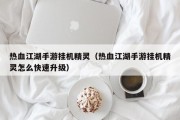 热血江湖手游挂机精灵（热血江湖手游挂机精灵怎么快速升级）