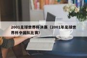 2001足球世界杯决赛（2001年足球世界杯中国队比赛）