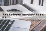 青川县电子游戏中心（青川电影院网上能不能购票）