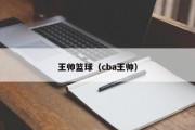 王帅篮球（cba王帅）