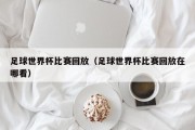 足球世界杯比赛回放（足球世界杯比赛回放在哪看）
