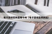 电子游戏官网是哪个州（电子游戏官网网站）