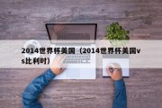 2014世界杯美国（2014世界杯美国vs比利时）