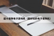 超小宠物电子游戏机（最好玩的电子宠物机）