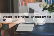 泸州哪里还有电子游戏厅（泸州哪里有电竞酒店）