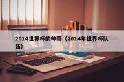 2014世界杯的帅哥（2014年世界杯队伍）
