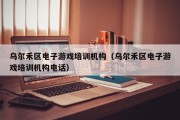 乌尔禾区电子游戏培训机构（乌尔禾区电子游戏培训机构电话）