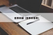 世界杯胆（世界杯世界）