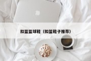 扣篮篮球鞋（扣篮鞋子推荐）