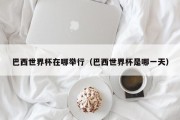 巴西世界杯在哪举行（巴西世界杯是哪一天）