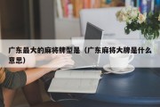 广东最大的麻将牌型是（广东麻将大牌是什么意思）