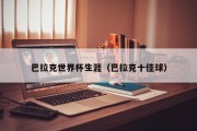巴拉克世界杯生涯（巴拉克十佳球）