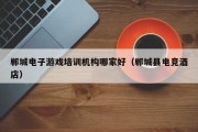 郸城电子游戏培训机构哪家好（郸城县电竞酒店）