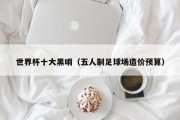 世界杯十大黑哨（五人制足球场造价预算）