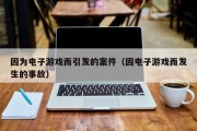 因为电子游戏而引发的案件（因电子游戏而发生的事故）