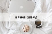 世界杯f祖（世界杯g）