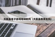 大新县电子游戏培训机构（大新县教育机构）