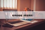 世界杯吧吧（嗯世界杯）