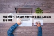 黑山世界杯（黑山世界杯预选赛国家队最新大名单照片）