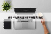 世界杯比赛概况（世界杯比赛项目）